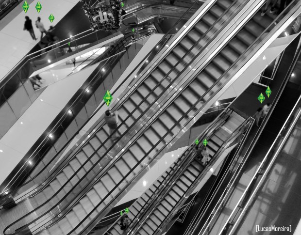 Fotografia por Lucas Moreira - Todos os Direitos Reservados